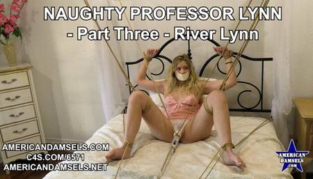 Naughty Professor Lynn - Part Three - River Lynn