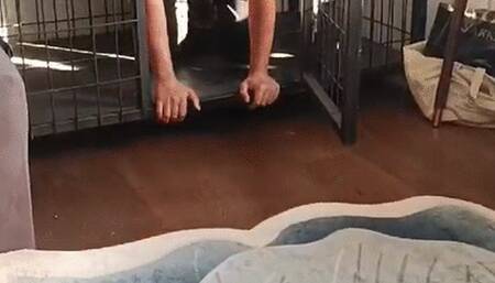 Ba?ar?s?z kölemi dövdüm