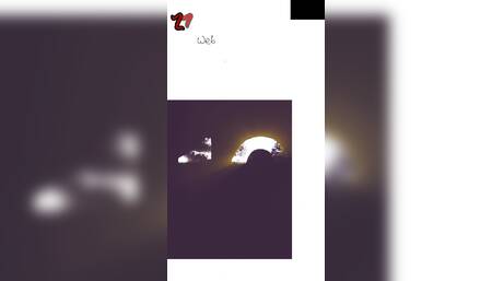 lilred2022