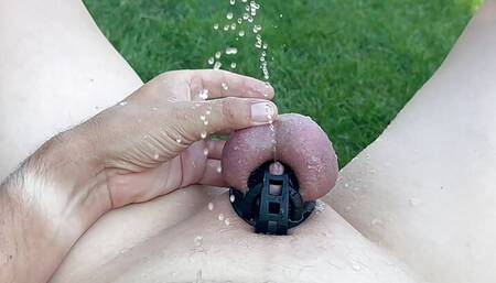 Outdoor pee shower even worried in the chastity belt
