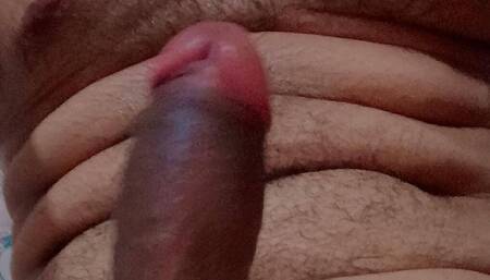 Bigbullcock
