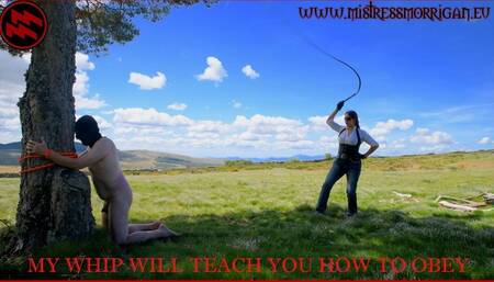 MY WHIP WILL TEACH YOU HOW TO OBEY