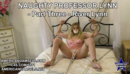 Naughty Professor Lynn - Part Three - River Lynn - 4K