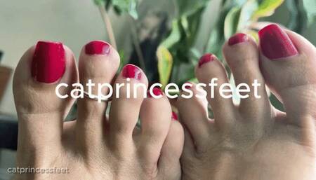 Red, long toenails, boney veiny tops of feet, milf foot show