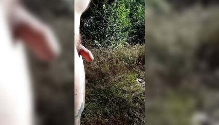 On nature