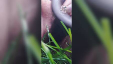 Squirting in My Backyard
