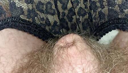 Small hairy dick in panties