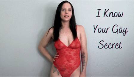 I Know Your Gay Secret- WMV