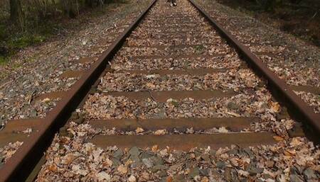 On the tracks (2018) (MP4)