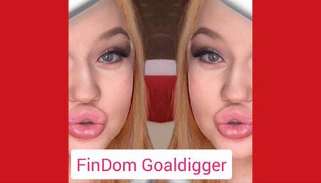 FinDom Goaldigger is your Orgasm!