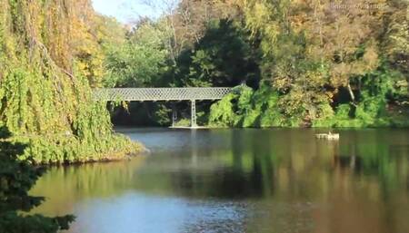 Copenhagen's Ørstedsparken Public Orgy – Part 2