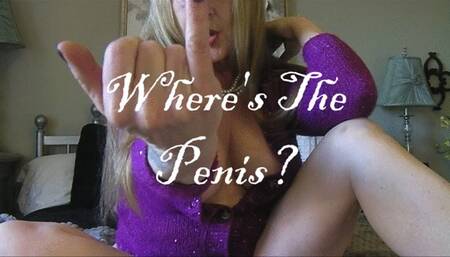 WHERE IS THE PENIS wmv