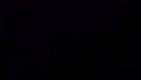 Deeds from the Devotee Dungeon Striped, Spanked, and Pounded (WMV 1080P)