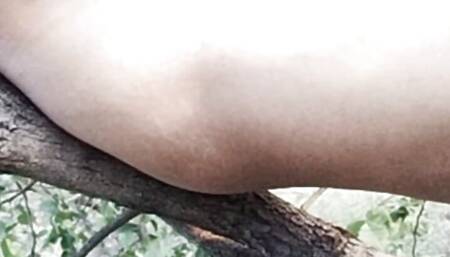 Crossdresser RasbhariJawani wearing bra played amazing game of tree climbing sex in forest.