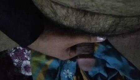 Hot Sexcy Porn Video Sis ki Phudi ki Porn Vidoe