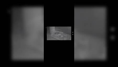 The surveillance camera surprises me when he fucks me and take to the blowjob from my lover