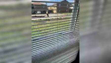 Someone kept throwing rocks at my window ????