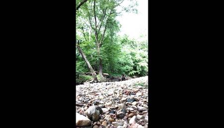 CAUGHT JACKING OFF AT A STREAM AUGUST 2023