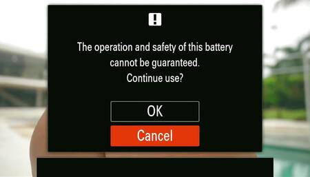 Pussy Licking in the Sun