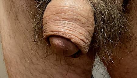 Glans Revealed and Cock Fills up full