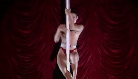 Mr Skin's Erotic Acrobatic Scenes
