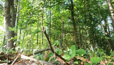 Tiny Human Casey in the Land of Giants POV 4K smaller