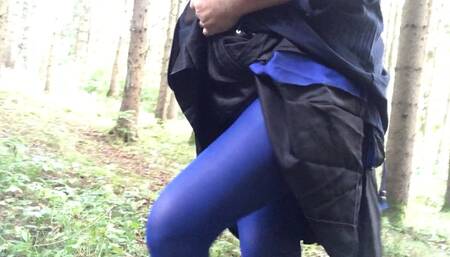 Blue forest