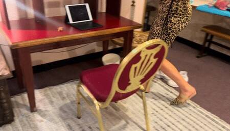 Melissa's Office Pet