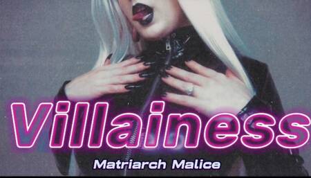 The Villainess