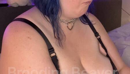 Brooding Beaver BBW Feeds on lunch