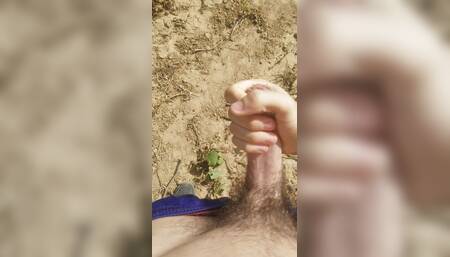 Masturbation in nature