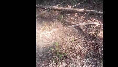 Black man masturbate in public park