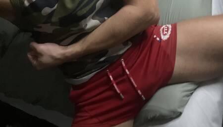 Fitlevi
