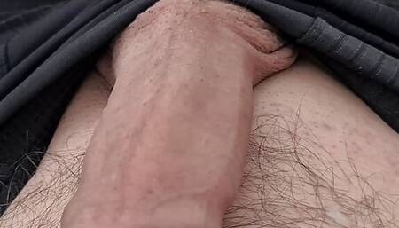 Black Panty Dick View