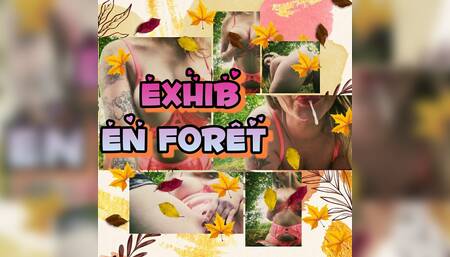 Exhib in the forest, a good wetness in anticipation