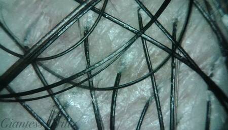 Giantess Cirilla - Unaware Hair Exploration