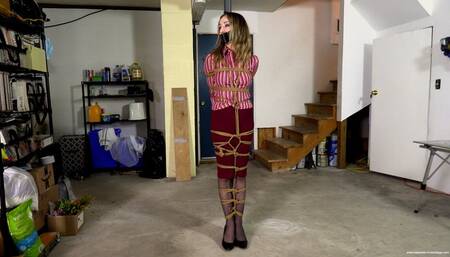 Lydia's Escape Challenge (iPhone) - Lydia Lael