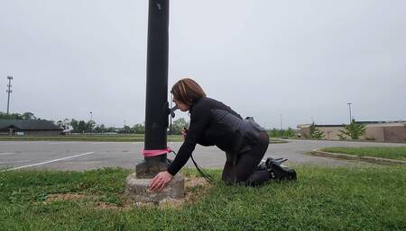 Sissy Public Humiliation Risk