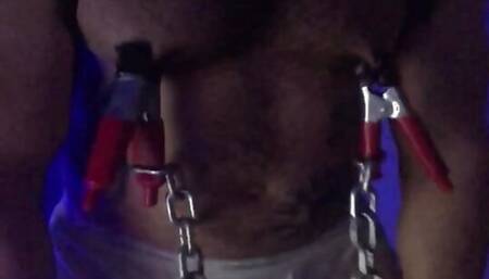 Hairy Hunk Pig - Extreme Nipple Clamps with chain