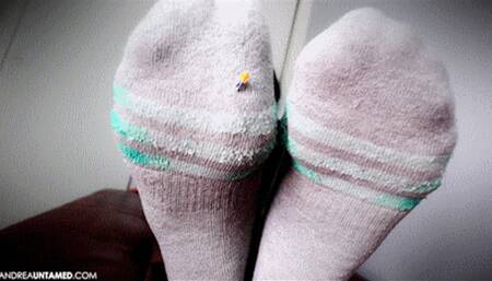 Sweaty Sock Punishment