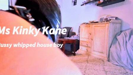 Pussy whipped house boy