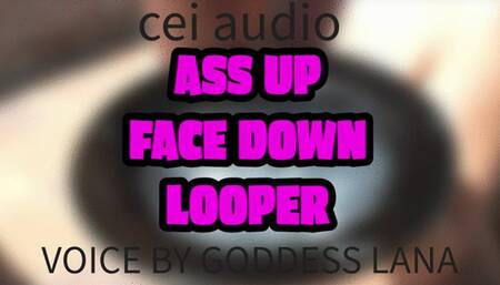 Ass up Face Down Looper FEMALE AND SHEMALE VOICES