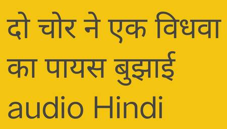 Do chor ne milkar eak vidhawa bhabhi ka pyash bujhai Hindi audio