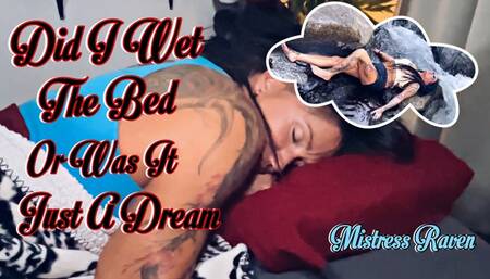 DID I WET THE BED OR WAS IT JUST A DREAM