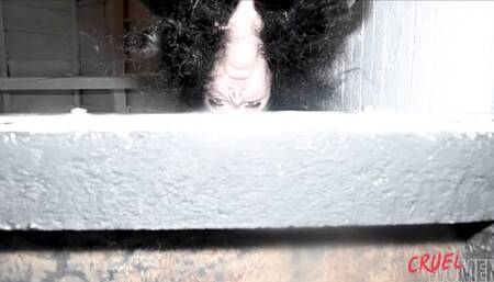 Hunted & Caged Part 5 **MOV**