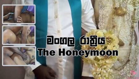 The Honeymoon - The first day of fuck my wife Dishy's Pussy