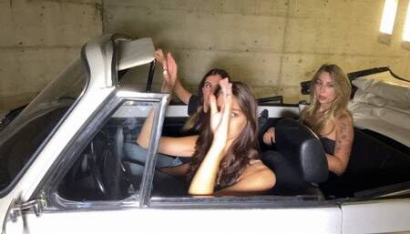 Italian felony traffic stop actions