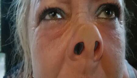 Nose to the door WMV