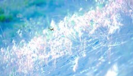 Early Graduation Present by Hookup Pad Feat Vickie Brown