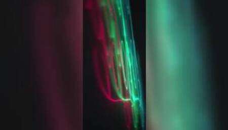 I Won’t Tell If You Won’t Tell by Oye Loca Feat Lana Steven